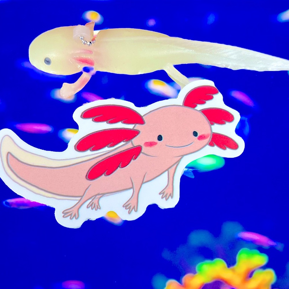CHEERalotl Axolotl Crazy Trending WaterProof Single Decor Accent Sticker